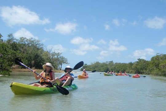 Guided Kayak Eco Tour - Bunche Beach