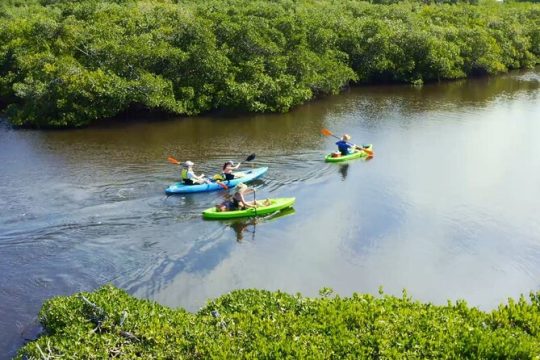 Kayaking the Canals of Venice, FL