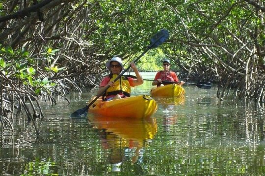 Half Day Kayak or SUP Rental (3hr) - Bunche Beach