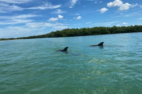 Private Guided Kayak Tour on Big Hickory Pass