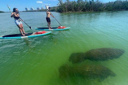 Dolphin and Manatee Adventure Tour of Naples with Florida History