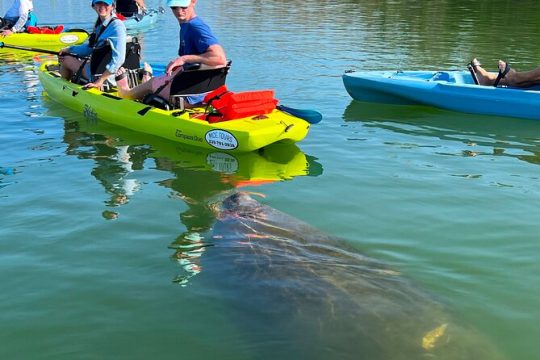 3 Hour Hobie Kayak Adventure In Bonita Springs