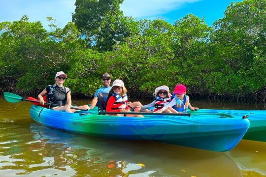 Big Hickory Self Guided Kayaking Activity in Bonita Springs