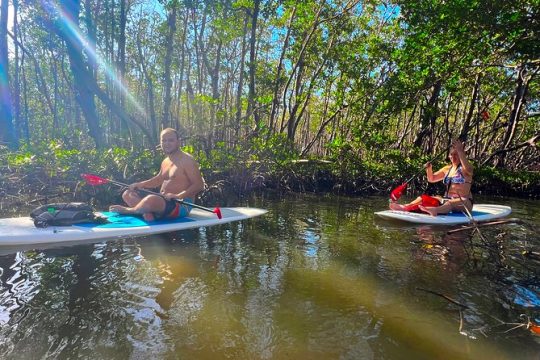 Tahe Paddle Board SUP Rental - Big Hickory, Bonita Springs