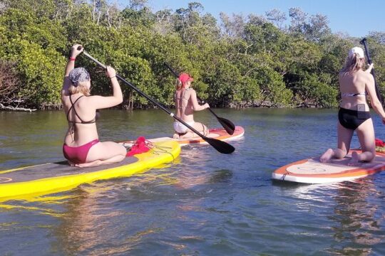 Stand Up Paddleboard Rental on Big Hickory Pass