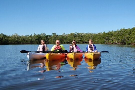 Half Day Kayak or SUP Rental (3hr) - Pelican Bay