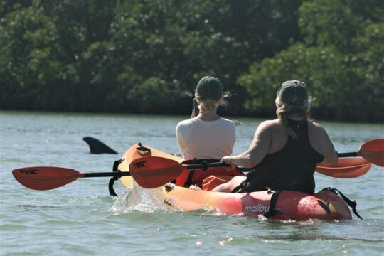 Nauti Exposures - Kayak rental Naples, FL