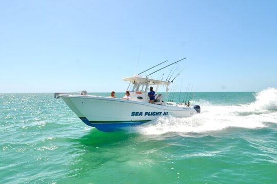 4 Hour Deep Sea Split Charter with Experienced Captain