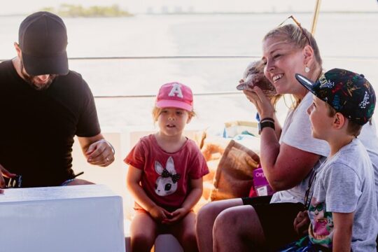 Dolphin and Shelling Cruise Tour at Fort Myers Beach