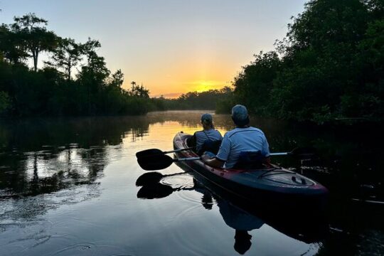 Private Everglades Kayak Tour See The Real Everglades With Us